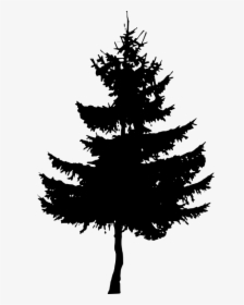 Pine Tree Silhouette Free, HD Png Download, Transparent PNG