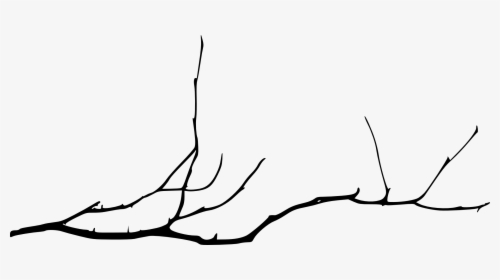 Simple Tree Branch Drawing, HD Png Download, Transparent PNG