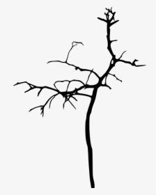 Simple Bare Tree Silhouette Png - Png Bare Tree Silhouettes, Transparent Png, Transparent PNG
