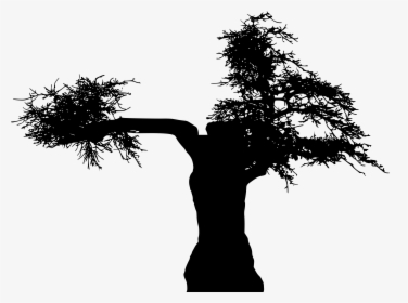 Branch Silhouette Download Tree Computer File - Silhouette, HD Png Download, Transparent PNG