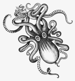 Kraken Rum Liquor Octopus - Kraken Black And White, HD Png Download, Transparent PNG