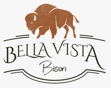 Bella Vista Bison Logo With Bison Over Text - Bison Logo, HD Png Download, Transparent PNG