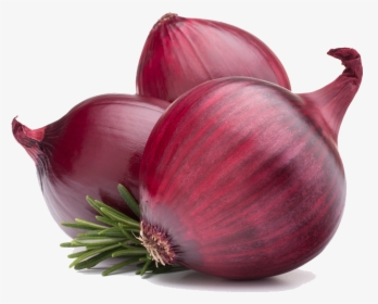 Red Onion Potato Onion Vegetable Food - Onion Png, Transparent Png, Transparent PNG