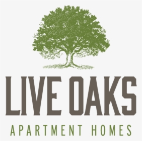 Live Oaks Logo - Oak, HD Png Download, Transparent PNG