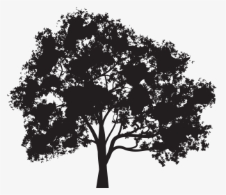 Tree Silhouette Clip Art, HD Png Download, Transparent PNG