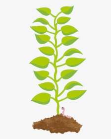 Illustration Of A Potato Plant S Leaves Growing From - Png Clipart Potato Leaf Png, Transparent Png, Transparent PNG