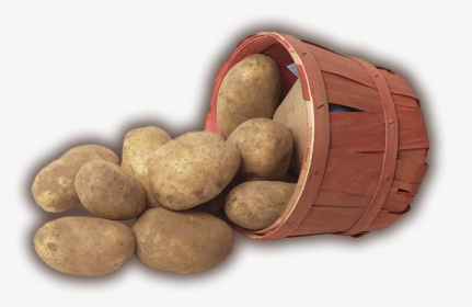 Potato In Farmer Png, Transparent Png, Transparent PNG