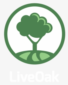 Tree Icon Gif - Icon Tree Png, Transparent Png, Transparent PNG
