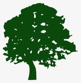Tree Pine Southern Live Oak Clip Art - Green Tree Silhouette Png, Transparent Png, Transparent PNG