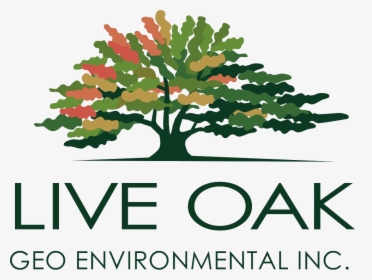 Live Oak Geoenvironmental - Live Oak Bank Logo, HD Png Download, Transparent PNG