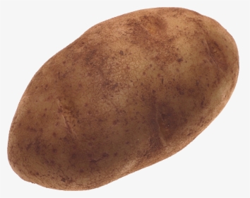Potato Png Image - Brown Potato Png, Transparent Png, Transparent PNG