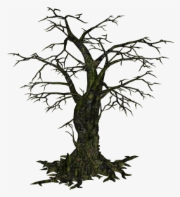 Creepy Tree - Transparent Creepy Tree Png, Png Download, Transparent PNG