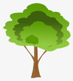 Cartoon Tree Transparent Background, HD Png Download, Transparent PNG