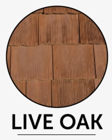 Cedur Live-oak Color Sample - โลโก้ เมา ไม่ ขับ, HD Png Download, Transparent PNG