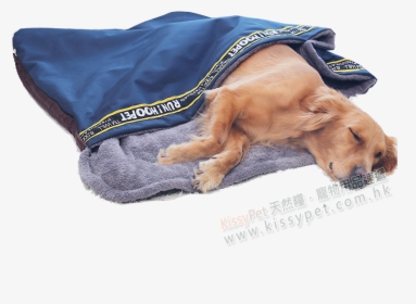 Hoopet Dual-use Sleeping Tent For Pets - Dog, HD Png Download, Transparent PNG