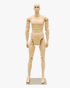 Posable Male Mannequin, HD Png Download, Transparent PNG