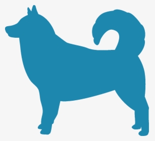 Alaskan Malamute - Companion Dog, HD Png Download, Transparent PNG