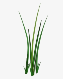 Grass Png Texture - Texture Grass 2d Png, Transparent Png, Transparent PNG
