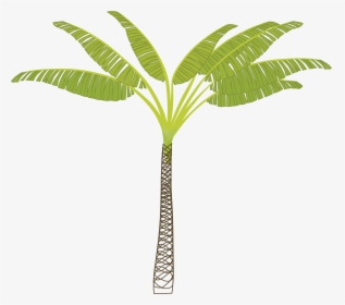 Palm-tree Clip Arts - T Shaped Palm Tree, HD Png Download, Transparent PNG