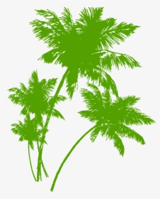 Transparent House For Sale Clipart - Coconut Trees Silhouette Png, Png Download, Transparent PNG