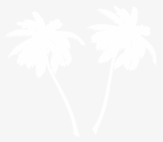 White Palm Tree Png - Palm Tree Clip Art White, Transparent Png, Transparent PNG