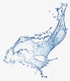 Sketch, HD Png Download, Transparent PNG