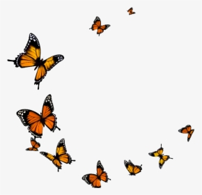 Butterfly Fly Png Download - Flying Butterfly Transparent Background, Png Download, Transparent PNG