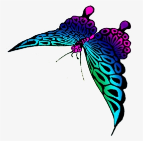 Strange Colored Butterfly Image - Transparent Colorful Butterfly, HD Png Download, Transparent PNG