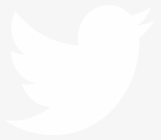White Twitter Logo Vector, HD Png Download, Transparent PNG