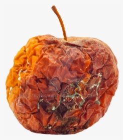 Apple - Chemical Change Rotting Fruit, HD Png Download, Transparent PNG