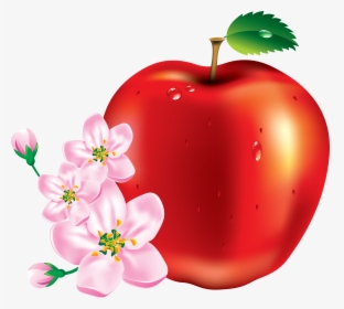 Apple Fruit Flower, HD Png Download, Transparent PNG