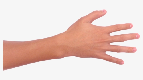 Mão Png, Transparent Png, Transparent PNG