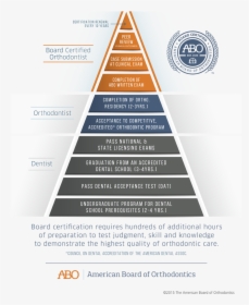 What Makes A Board Certified Orthodontist Different - Abo Board Certified Orthodontist Pyramid, HD Png Download, Transparent PNG