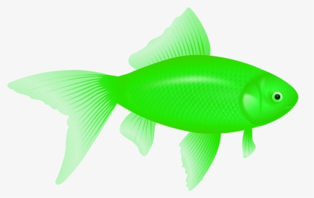 Transparent Background Red Fish Clipart, HD Png Download, Transparent PNG