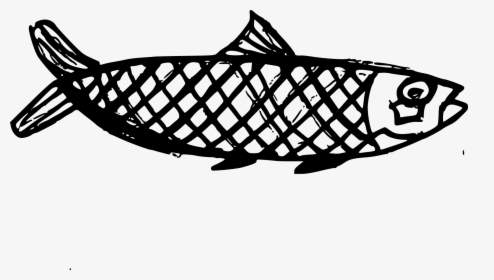 Fish Drawing Png, Transparent Png, Transparent PNG