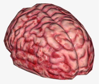 Brain (as Food), HD Png Download, Transparent PNG