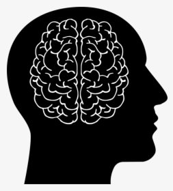 Human Brain Head Computer - Human And Brain Clipart, HD Png Download, Transparent PNG