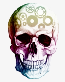 Skulls No Background, HD Png Download, Transparent PNG