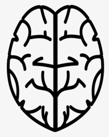 Brain Png Icon - Icon, Transparent Png, Transparent PNG