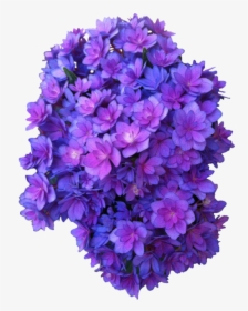 Flower Purple Png Multi Transparent Hydrangea - Purple Flower Png, Png Download, Transparent PNG