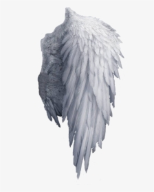 White Angel Wings Png , Png Download - Transparent Background Angel Wings Png, Png Download, Transparent PNG