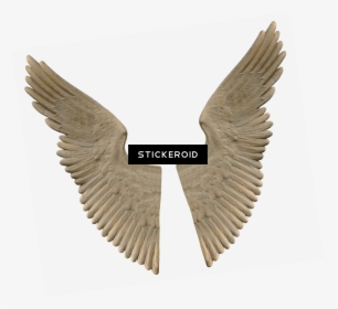 Stone Angel Wings , Png Download - Marble Statue Wings, Transparent Png, Transparent PNG