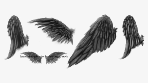 Black Angel Wings Drawing, HD Png Download, Transparent PNG