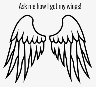 Cartoon Drawing Angel Wing, HD Png Download, Transparent PNG