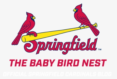 Baby Bird Png - Springfield Cardinals Logo Png, Transparent Png, Transparent PNG