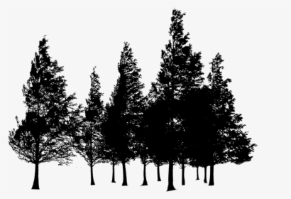 Transparent Forest Silhouette Png - Trees Png, Png Download, Transparent PNG