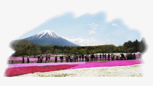 Mount Fuji, HD Png Download, Transparent PNG
