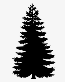 Pine Tree Png Vector - Pine Tree Vector Png, Transparent Png, Transparent PNG