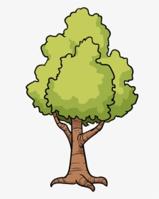 Cartoon Tree Drawing Clip Art - Drawing Cartoon Tree Trees, HD Png Download, Transparent PNG