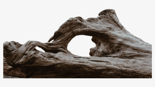 Transparent Driftwood Clipart - Tree Logs Transparent Background, HD Png Download, Transparent PNG